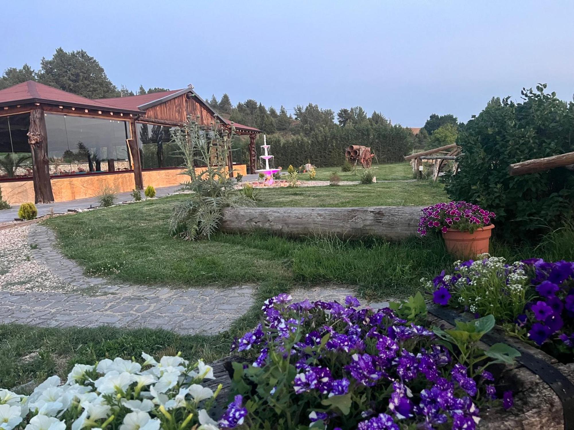 El Burgo De Osma Alojamiento Rural Villa Bagh Экстерьер фото