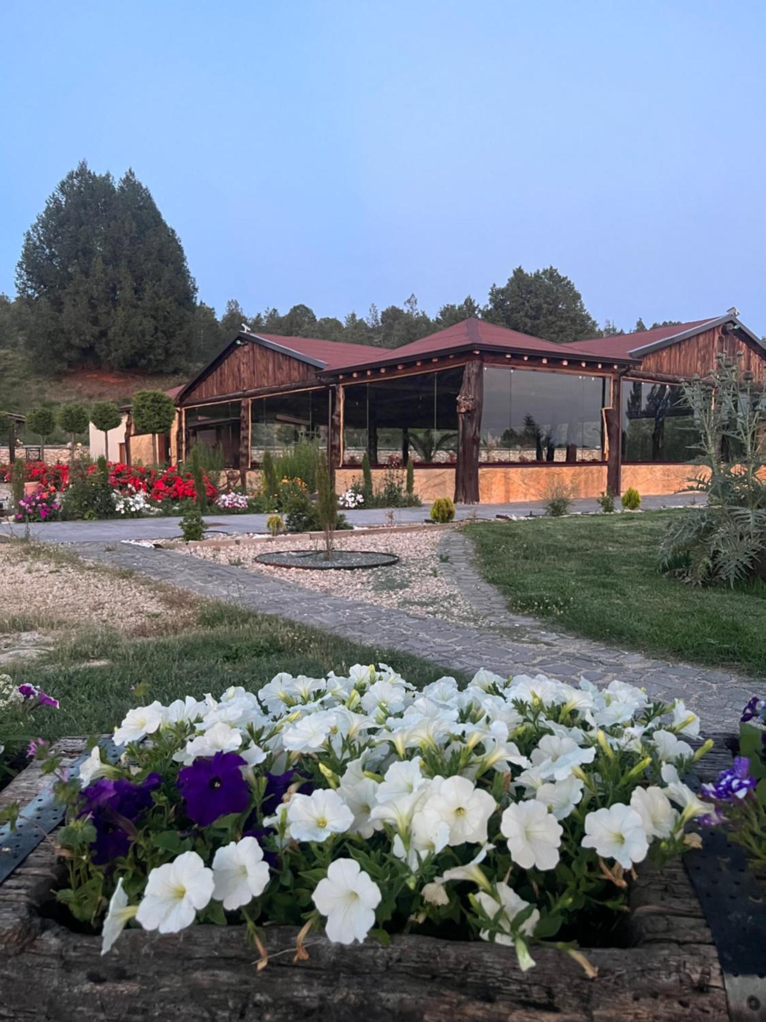El Burgo De Osma Alojamiento Rural Villa Bagh Экстерьер фото